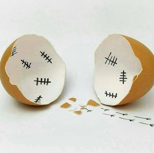 Meet your Posher, Terri